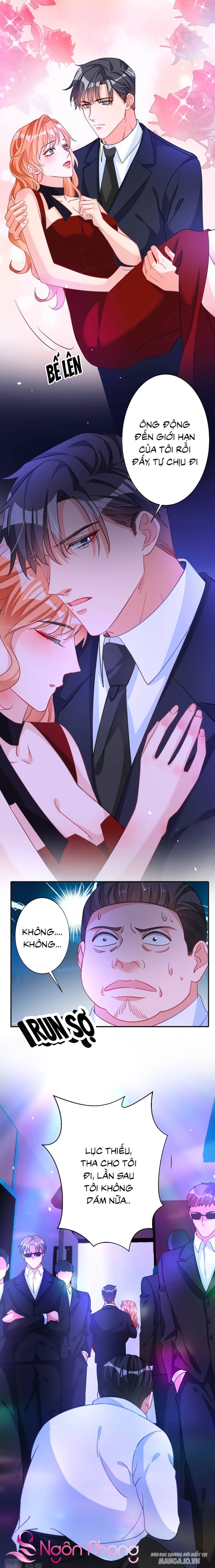 Hôm Nay Từ Chối Lục Tiên Sinh Chưa? Chapter 5 - Trang 2