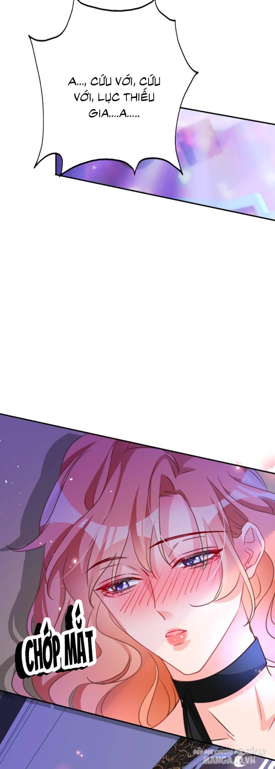 Hôm Nay Từ Chối Lục Tiên Sinh Chưa? Chapter 5 - Trang 2