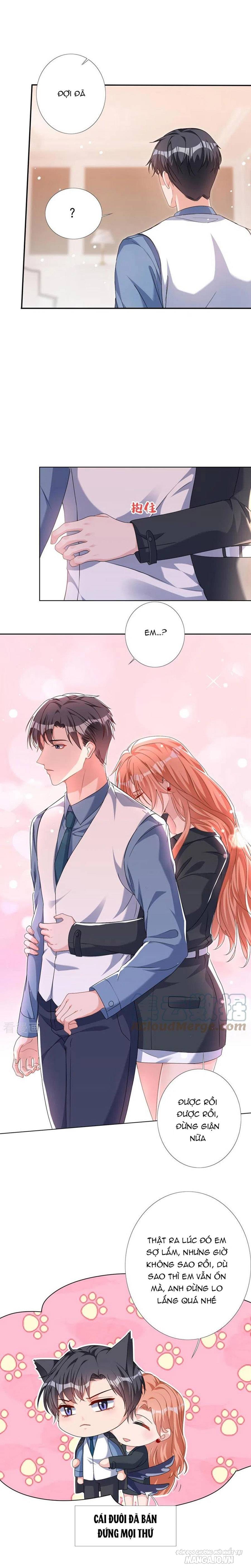 Hôm Nay Từ Chối Lục Tiên Sinh Chưa? Chapter 58 - Trang 2