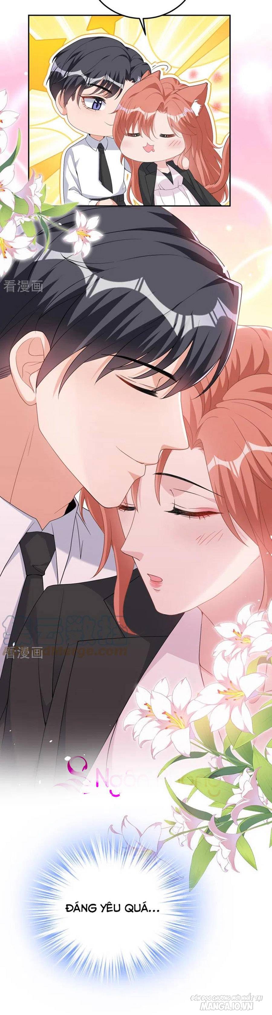 Hôm Nay Từ Chối Lục Tiên Sinh Chưa? Chapter 98 - Trang 2