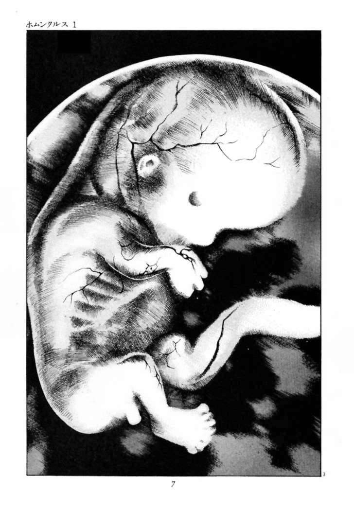 Homunculus Chapter 1 - Trang 2