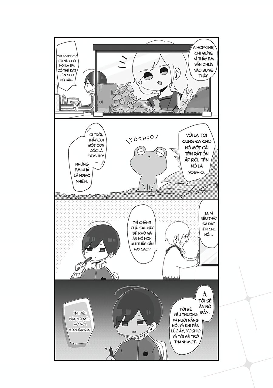 Homura Sensei Hình Như Không Có Số Đào Hoa Chapter 3 - Trang 2