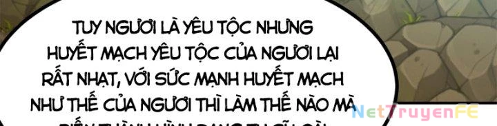 Hỗn Độn Đan Thần Chapter 363 - Trang 2