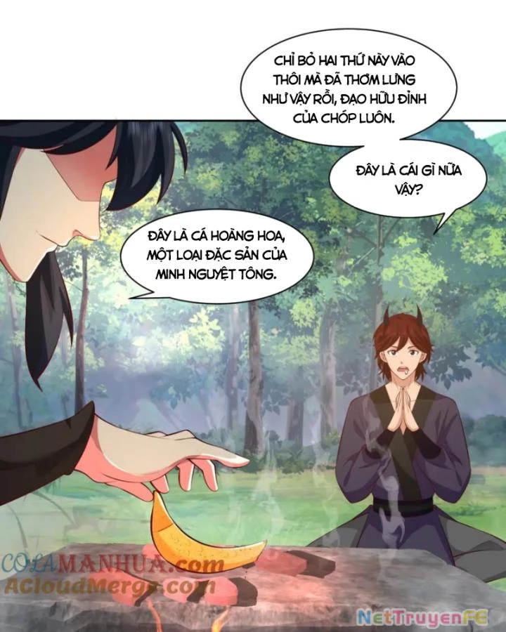 Hỗn Độn Đan Thần Chapter 397 - Trang 2