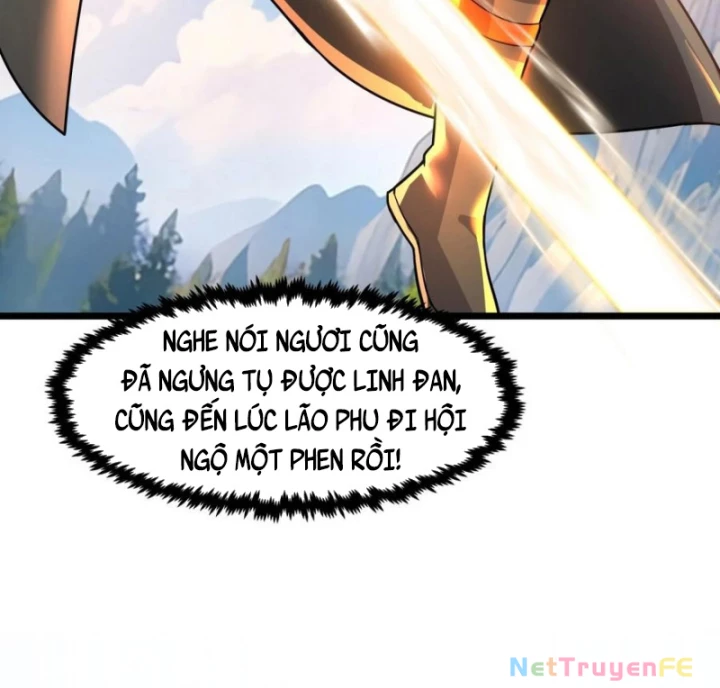 Hỗn Độn Đan Thần Chapter 494 - Trang 2