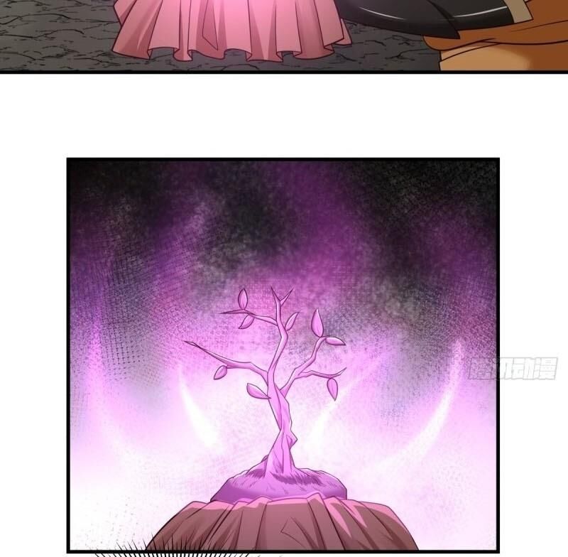 Hỗn Độn Đan Thần Chapter 74 - Trang 2