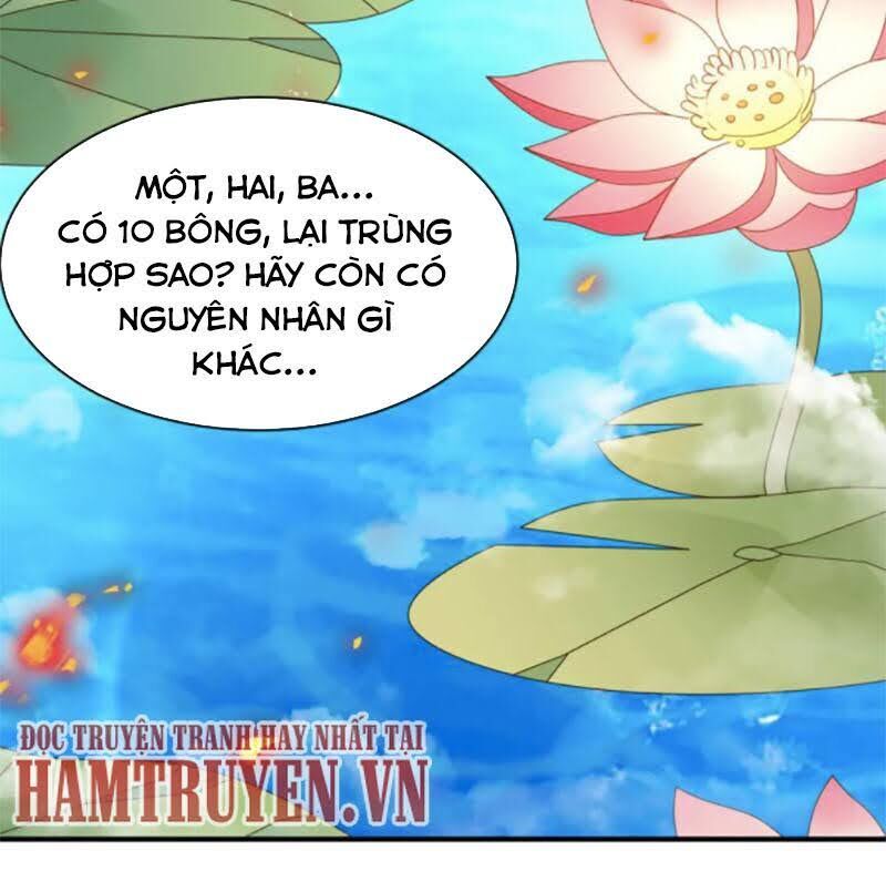 Hỗn Độn Kim Ô Chapter 61 - Trang 2