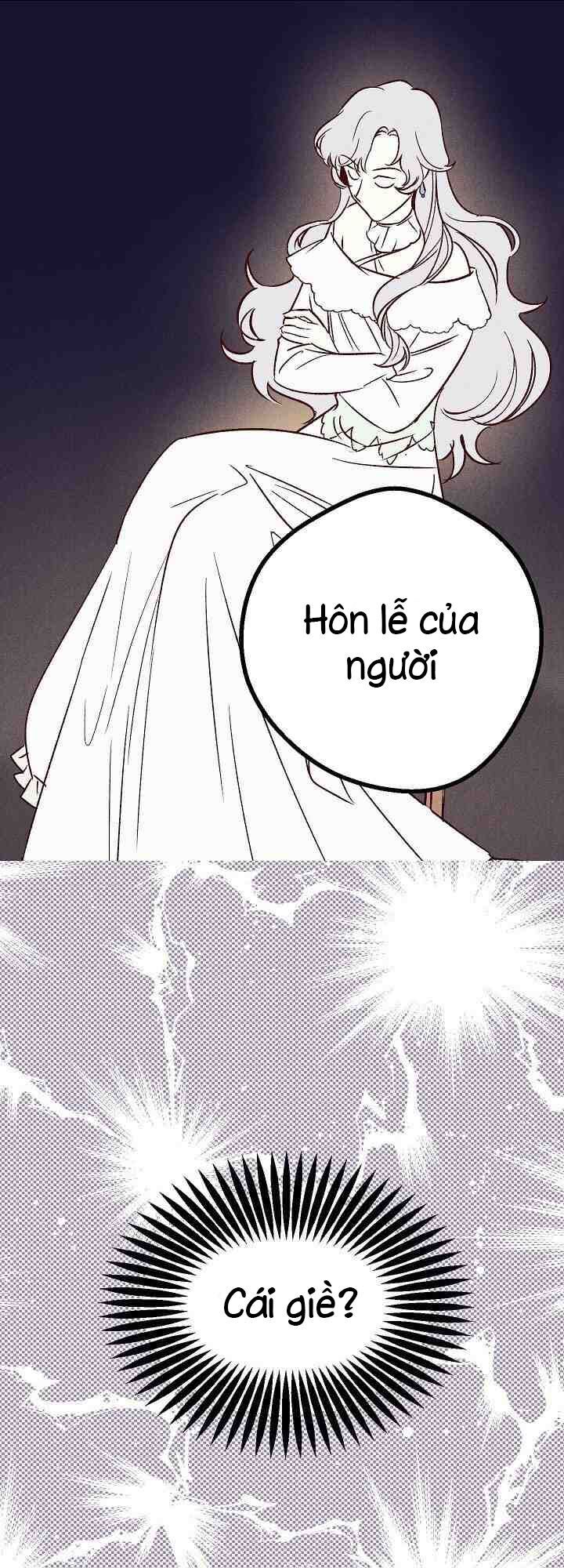 Hôn Lễ Báo Thù Chapter 1 - Trang 2