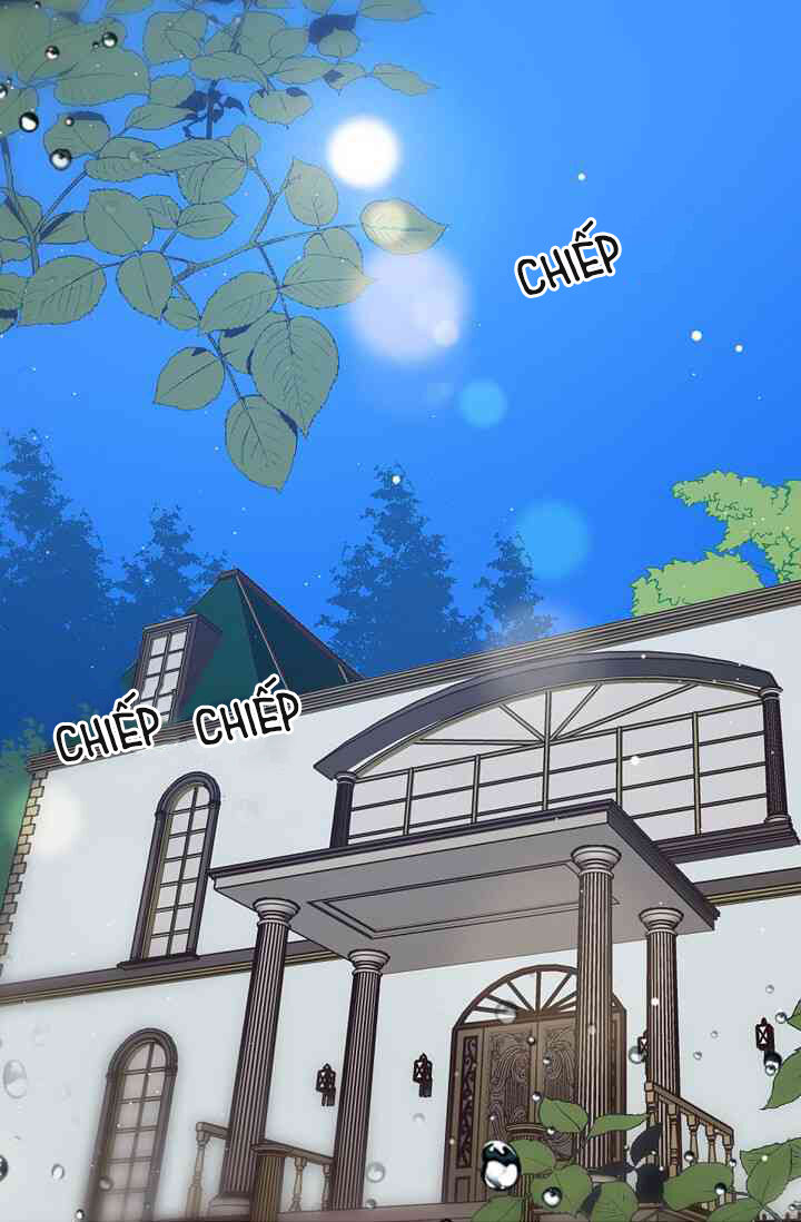 Hôn Lễ Báo Thù Chapter 11 - Trang 2