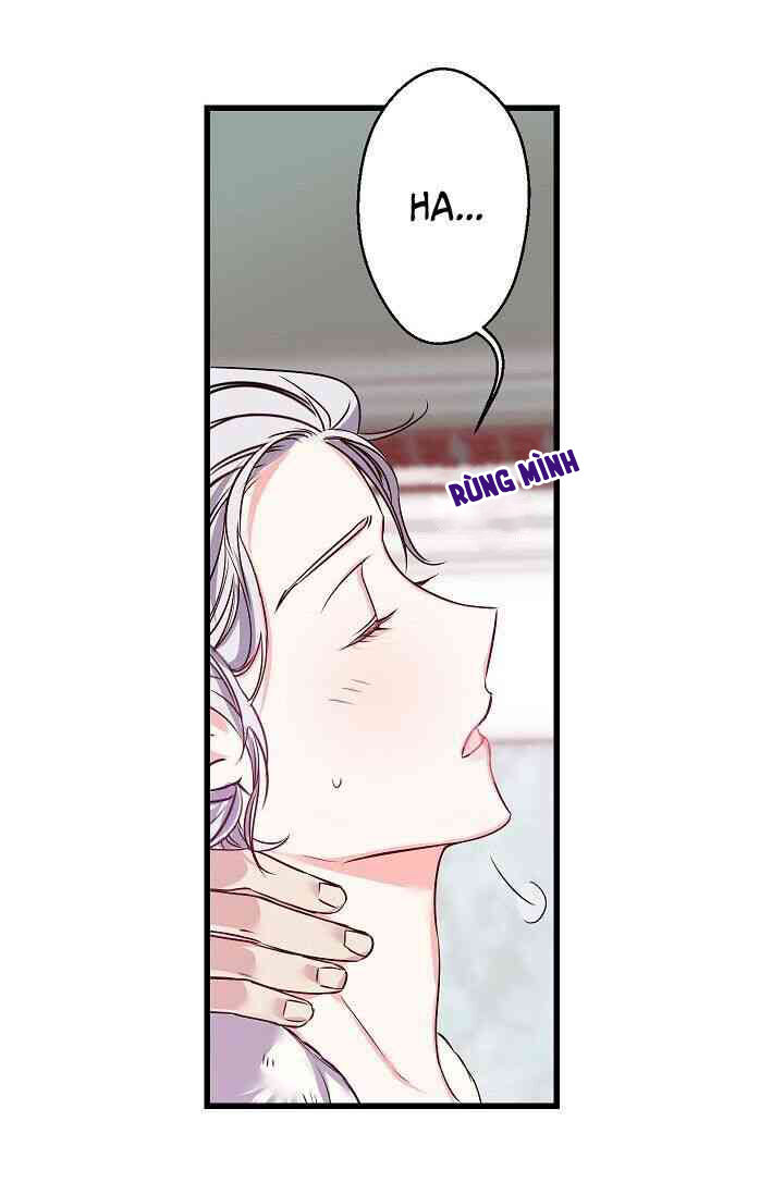 Hôn Lễ Báo Thù Chapter 12 - Trang 2