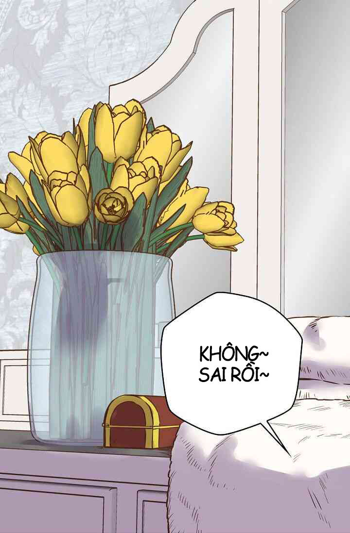 Hôn Lễ Báo Thù Chapter 12 - Trang 2