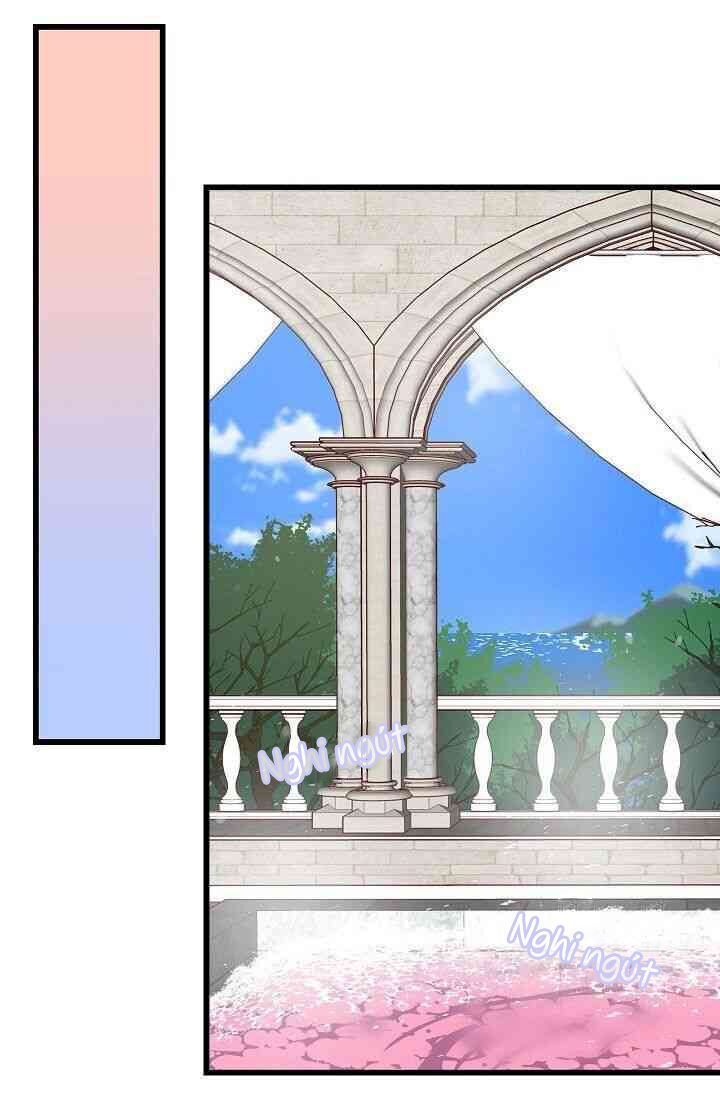 Hôn Lễ Báo Thù Chapter 12 - Trang 2