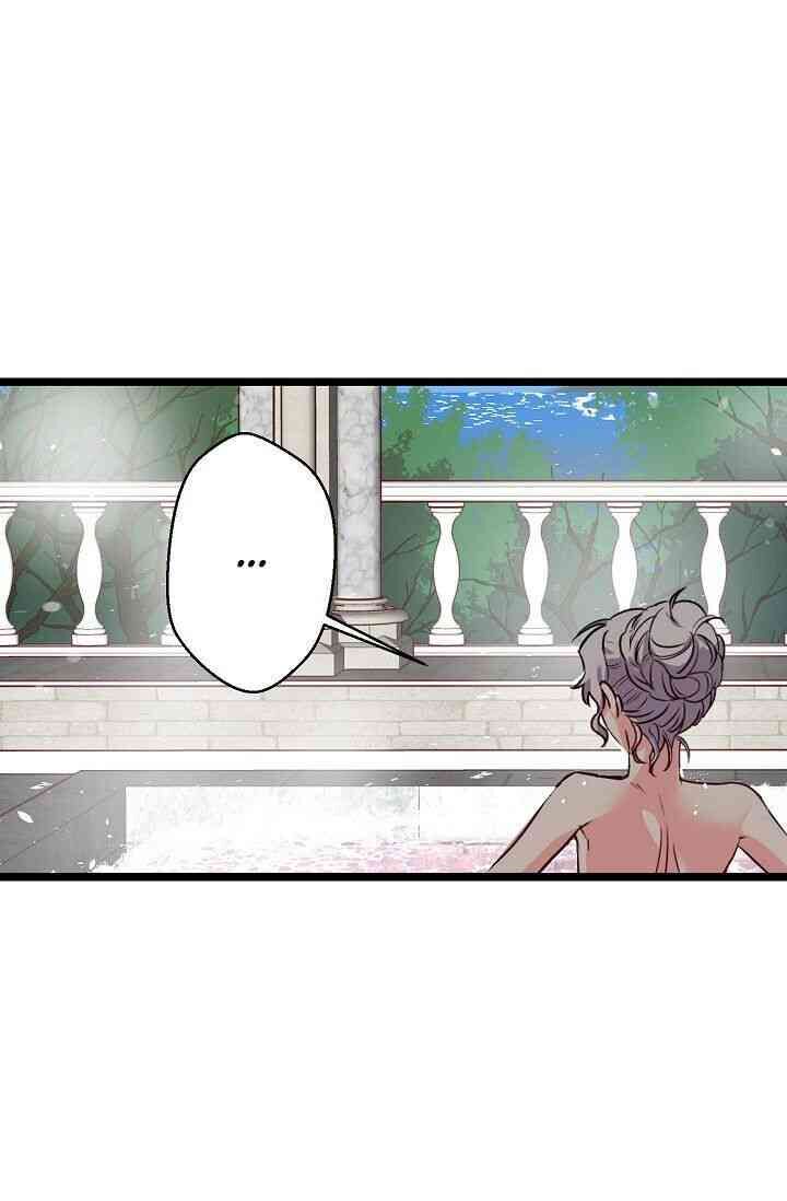 Hôn Lễ Báo Thù Chapter 12 - Trang 2