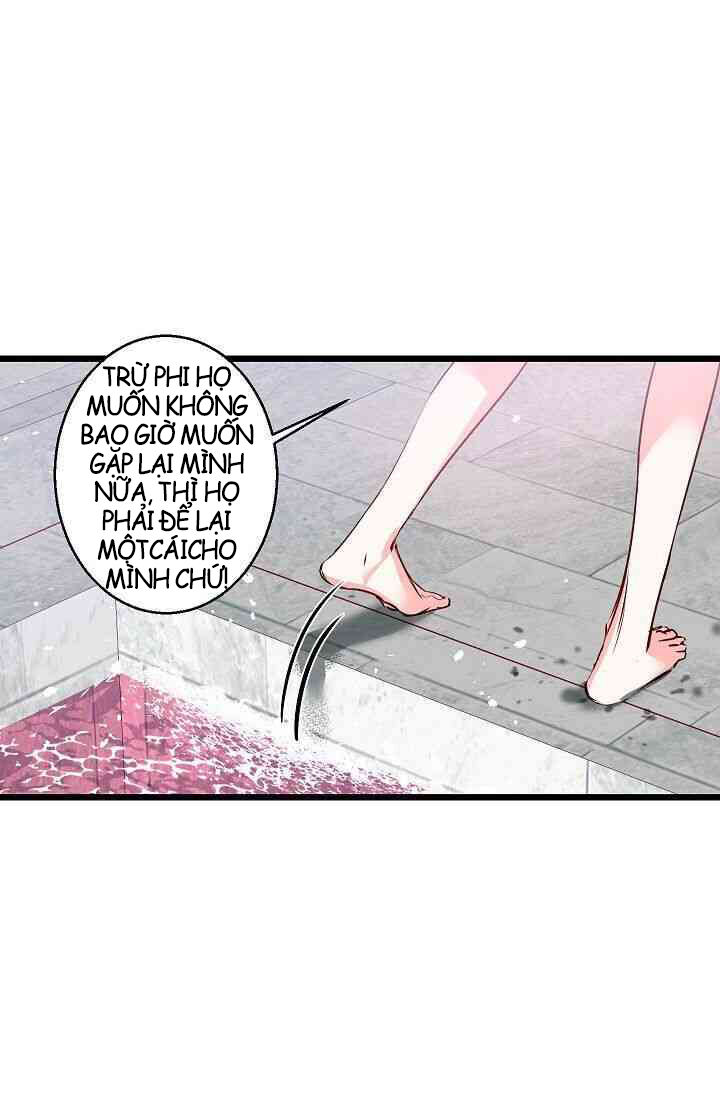 Hôn Lễ Báo Thù Chapter 12 - Trang 2