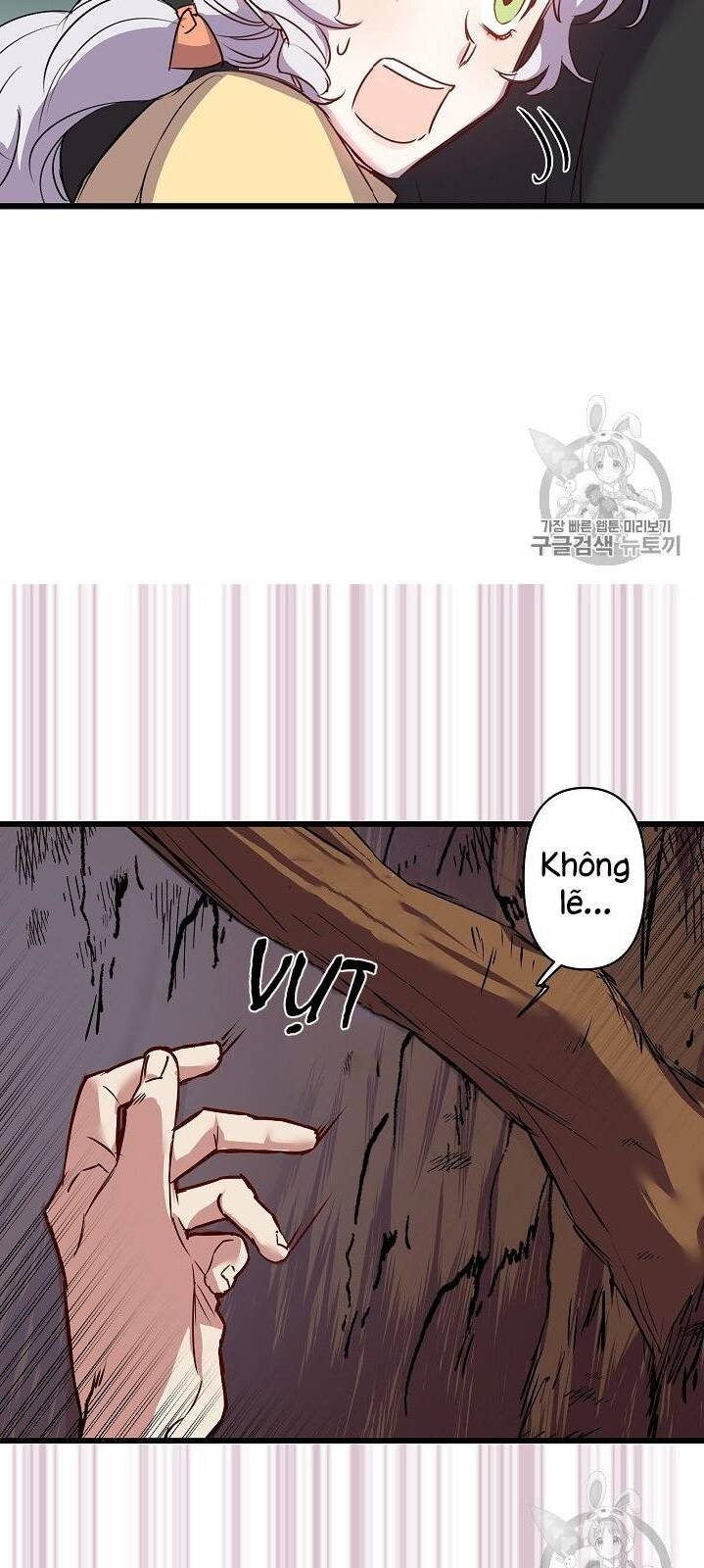 Hôn Lễ Báo Thù Chapter 16 - Trang 2