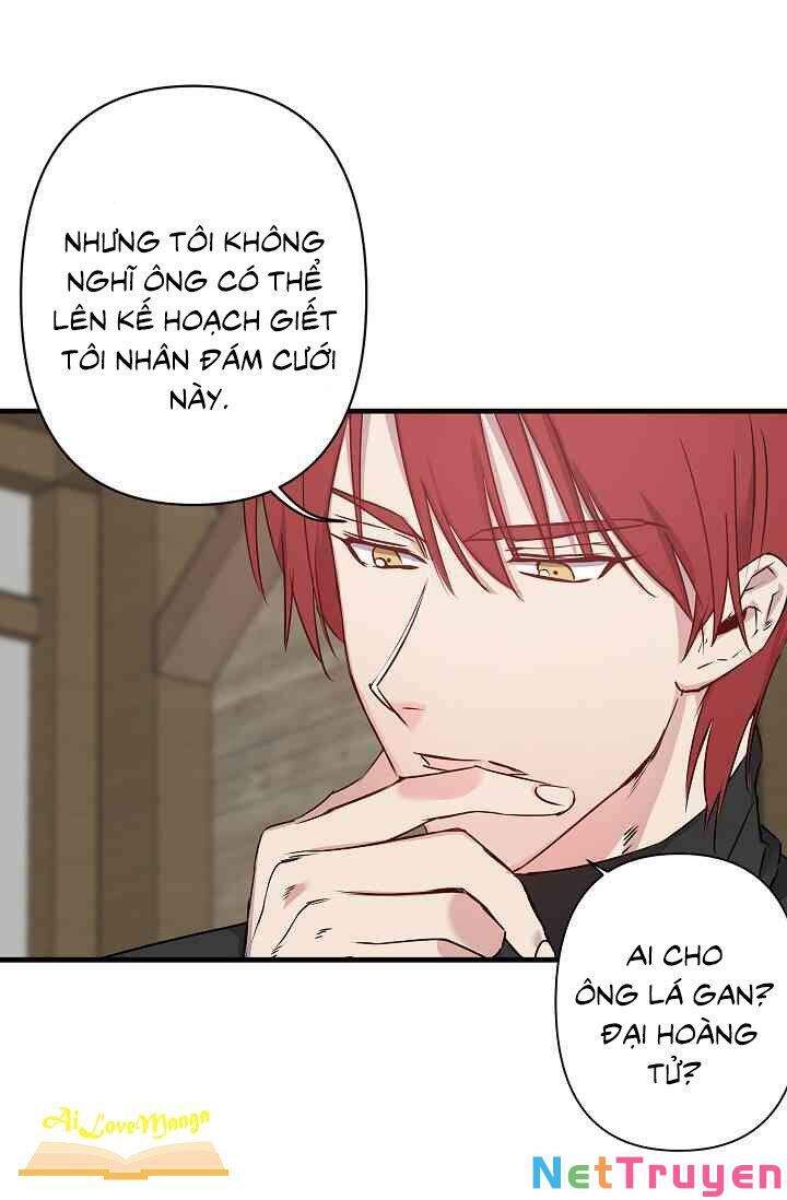 Hôn Lễ Báo Thù Chapter 23 - Trang 2