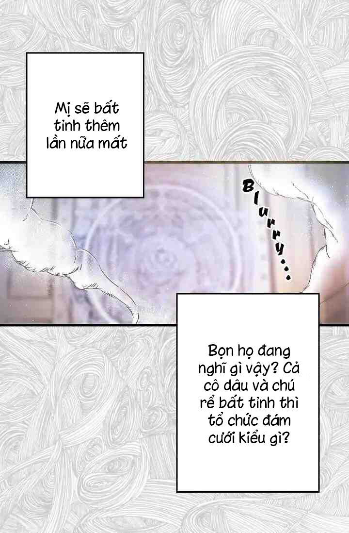 Hôn Lễ Báo Thù Chapter 3 - Trang 2