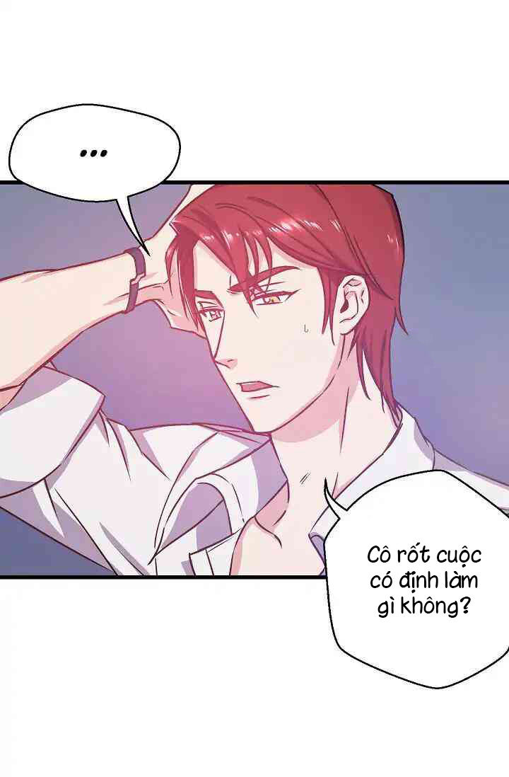 Hôn Lễ Báo Thù Chapter 5 - Trang 2