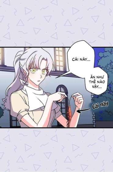 Hôn Lễ Báo Thù Chapter 7 - Trang 2