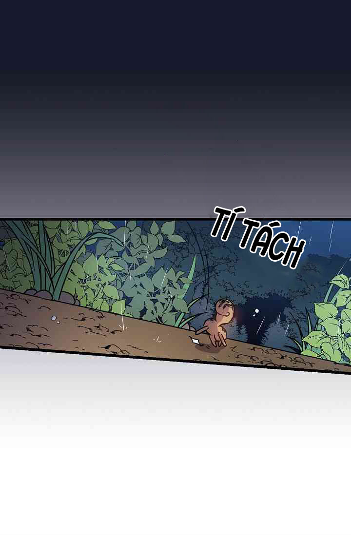 Hôn Lễ Báo Thù Chapter 8 - Trang 2