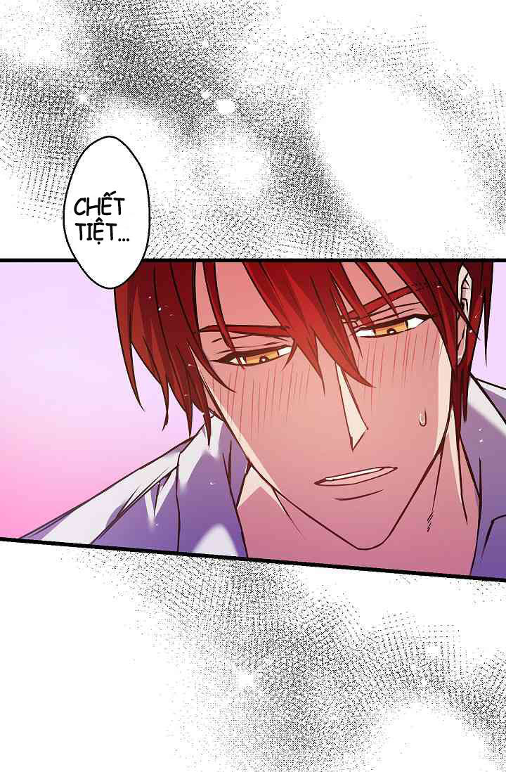 Hôn Lễ Báo Thù Chapter 9 - Trang 2