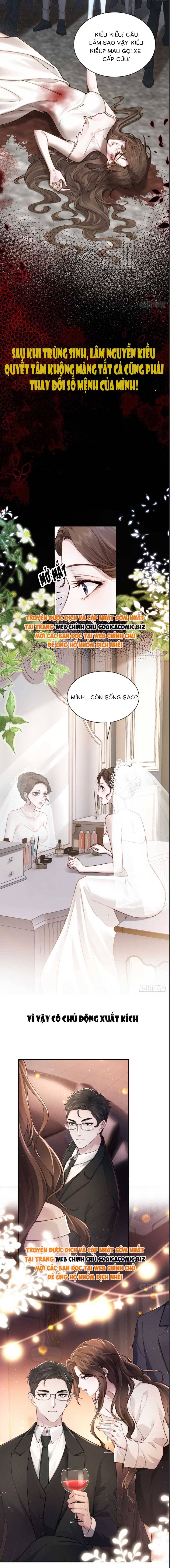 Hôn Nhân Chớp Nhoáng Với Thái Tử Tộc Sói Chapter 0 - Trang 2