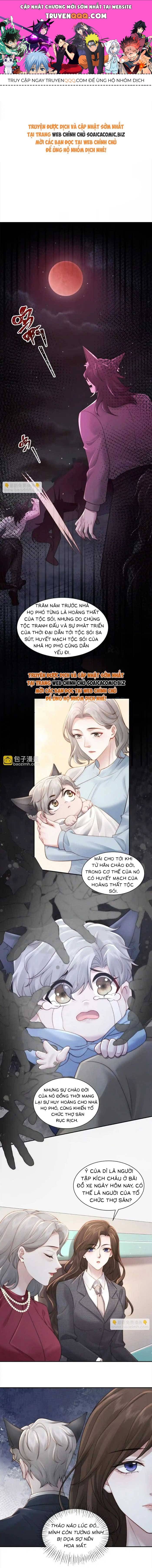 Hôn Nhân Chớp Nhoáng Với Thái Tử Tộc Sói Chapter 17 - Trang 2