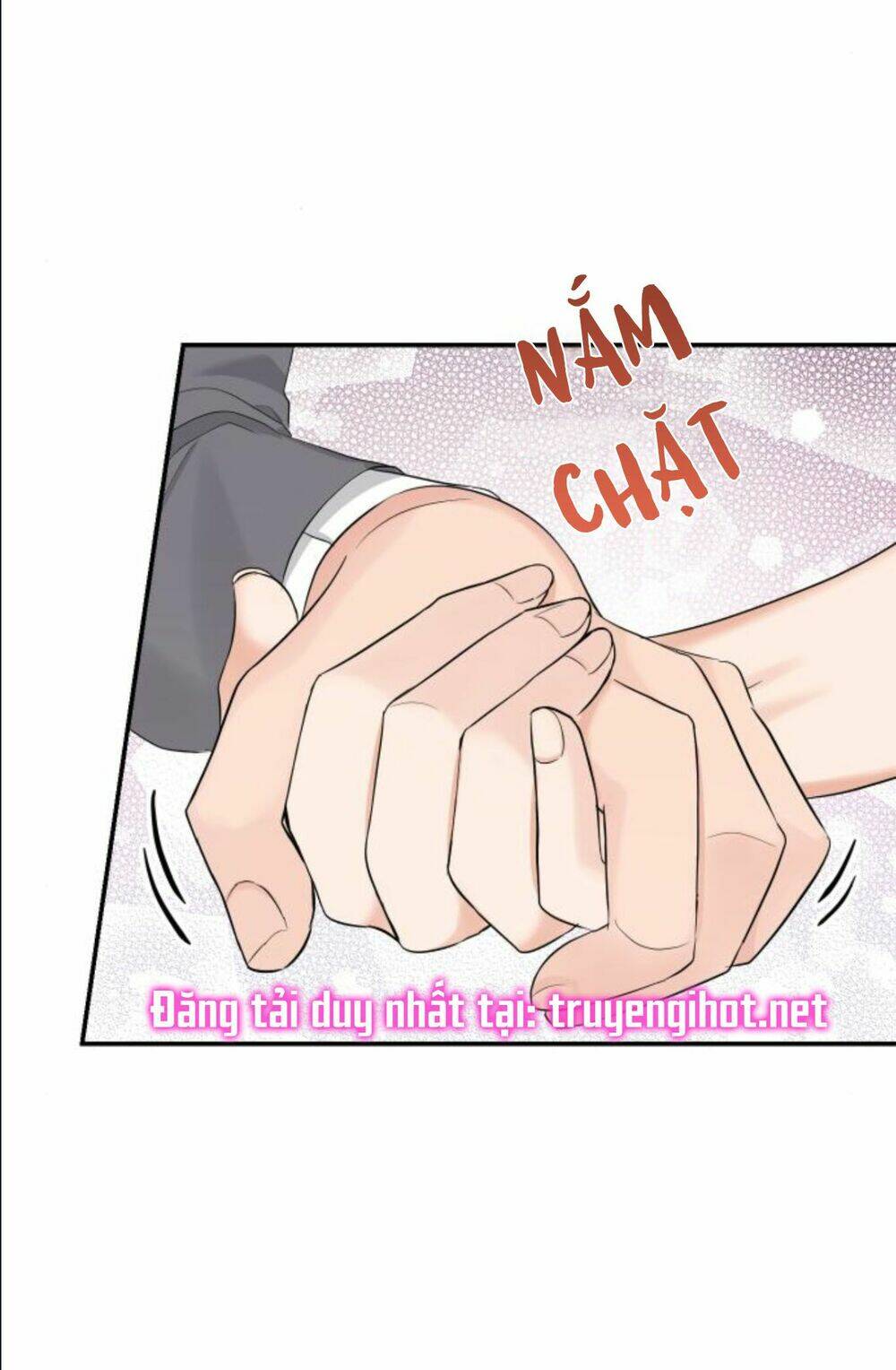 Hôn Nhân Hoàn Hảo Chapter 11.1 - Trang 2