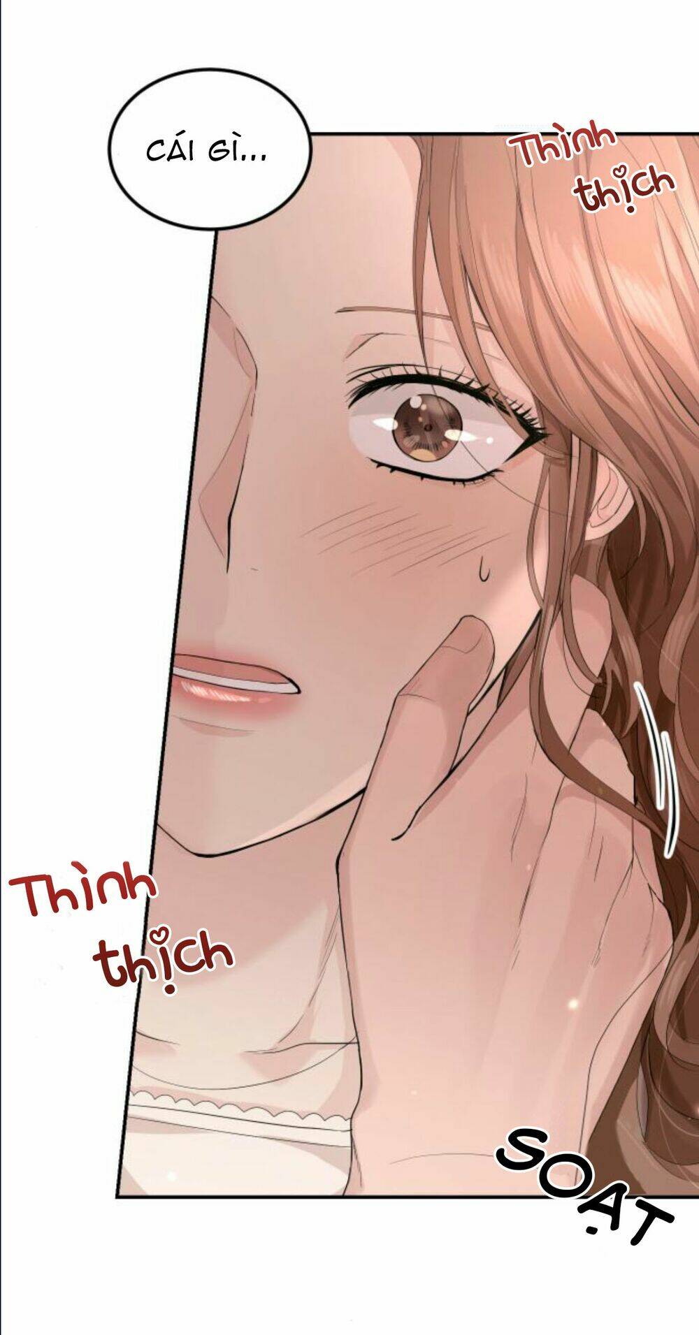 Hôn Nhân Hoàn Hảo Chapter 12.2 - Trang 2