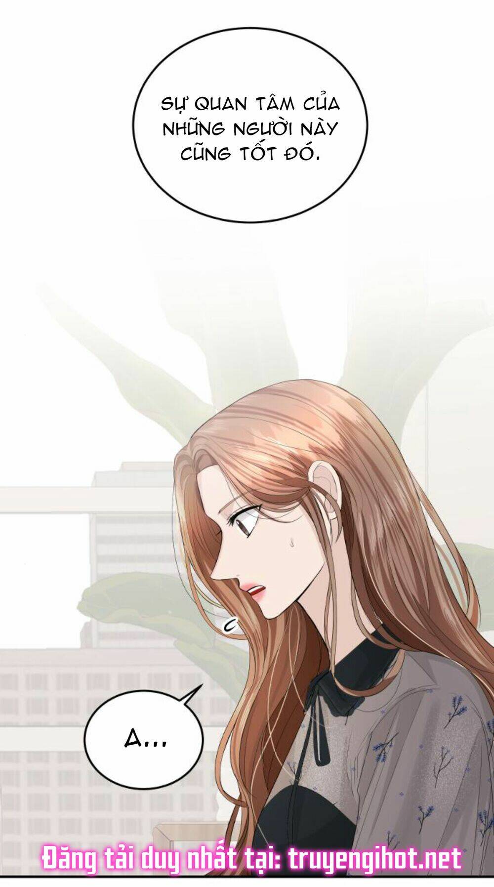 Hôn Nhân Hoàn Hảo Chapter 27 - Trang 2