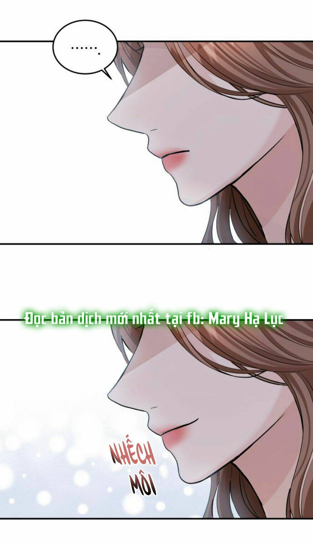 Hôn Nhân Hoàn Hảo Chapter 29 - Trang 2