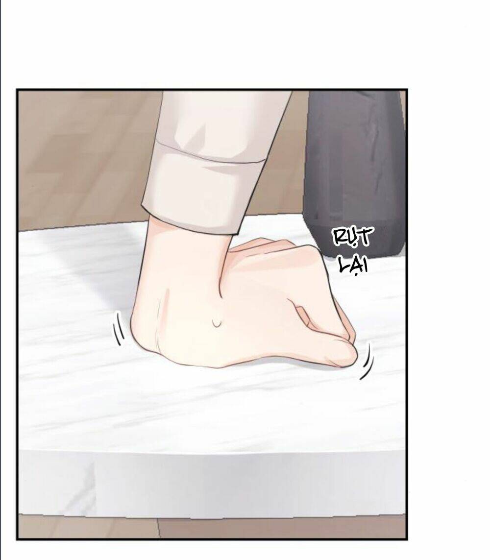 Hôn Nhân Hoàn Hảo Chapter 3 - Trang 2