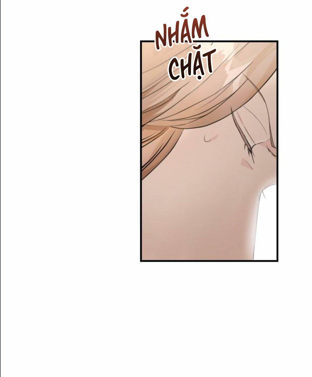 Hôn Nhân Hoàn Hảo Chapter 3 - Trang 2