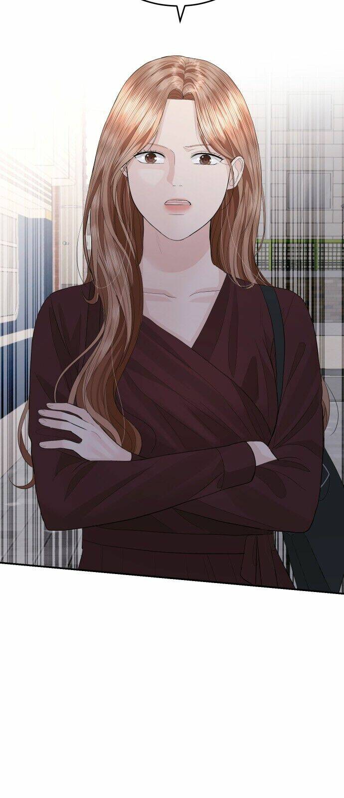 Hôn Nhân Hoàn Hảo Chapter 47.1 - Trang 2