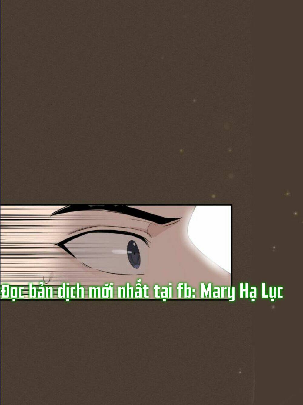 Hôn Nhân Hoàn Hảo Chapter 5 - Trang 2