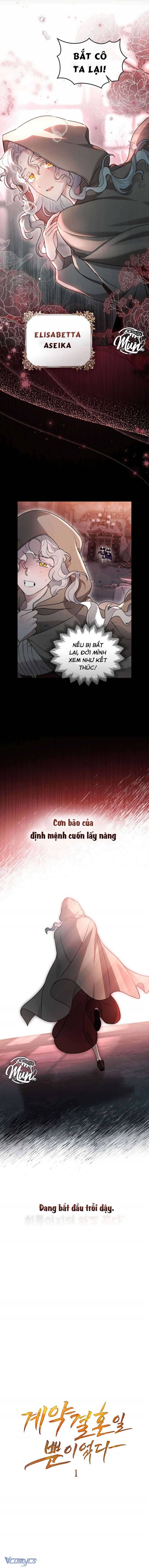 Hôn Nhân Khế Ước Chapter 1 - Trang 2