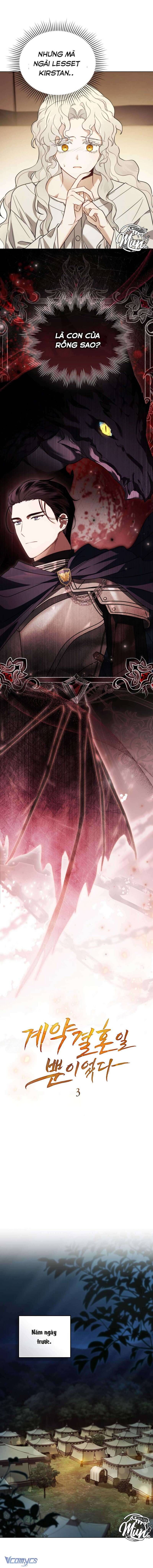 Hôn Nhân Khế Ước Chapter 3 - Trang 2