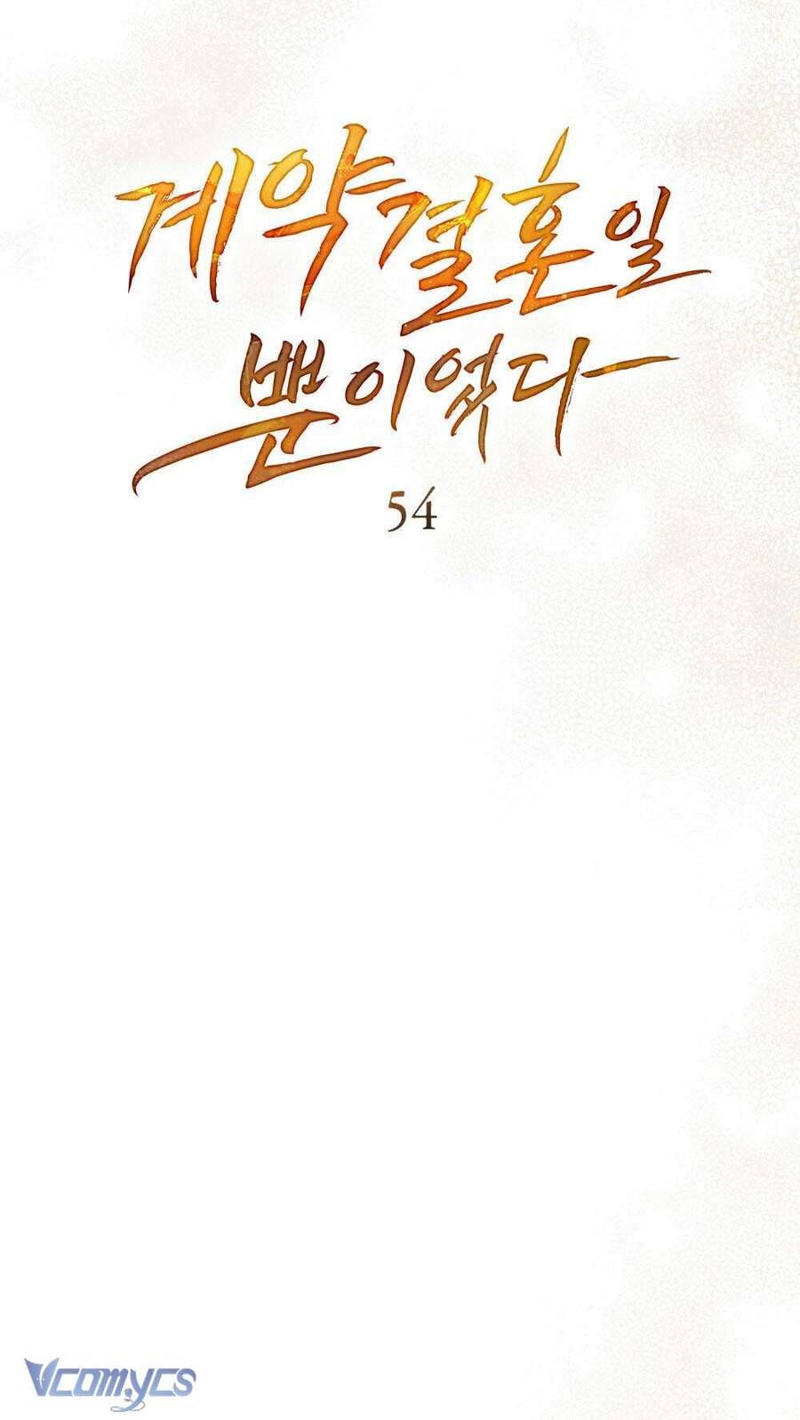 Hôn Nhân Khế Ước Chapter 54 - Trang 2