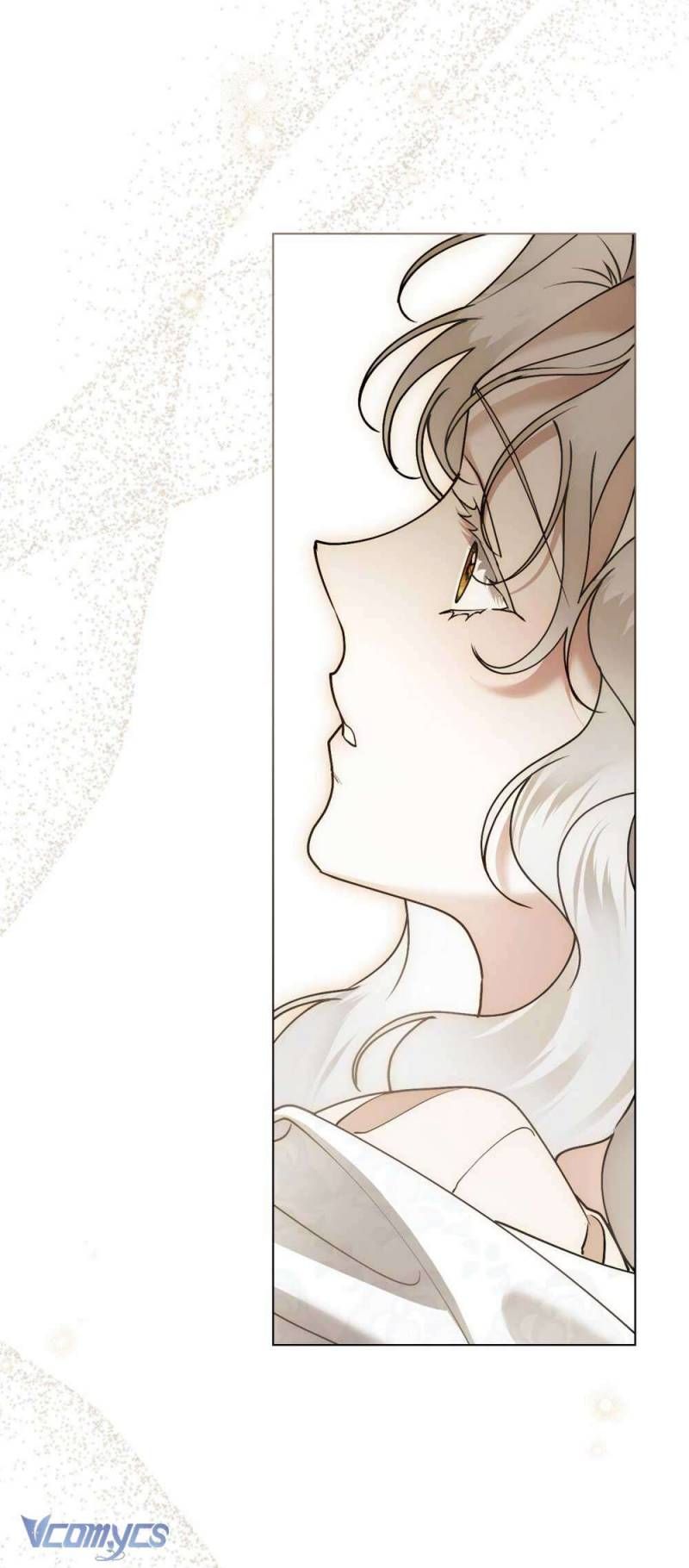 Hôn Nhân Khế Ước Chapter 55 - Trang 2