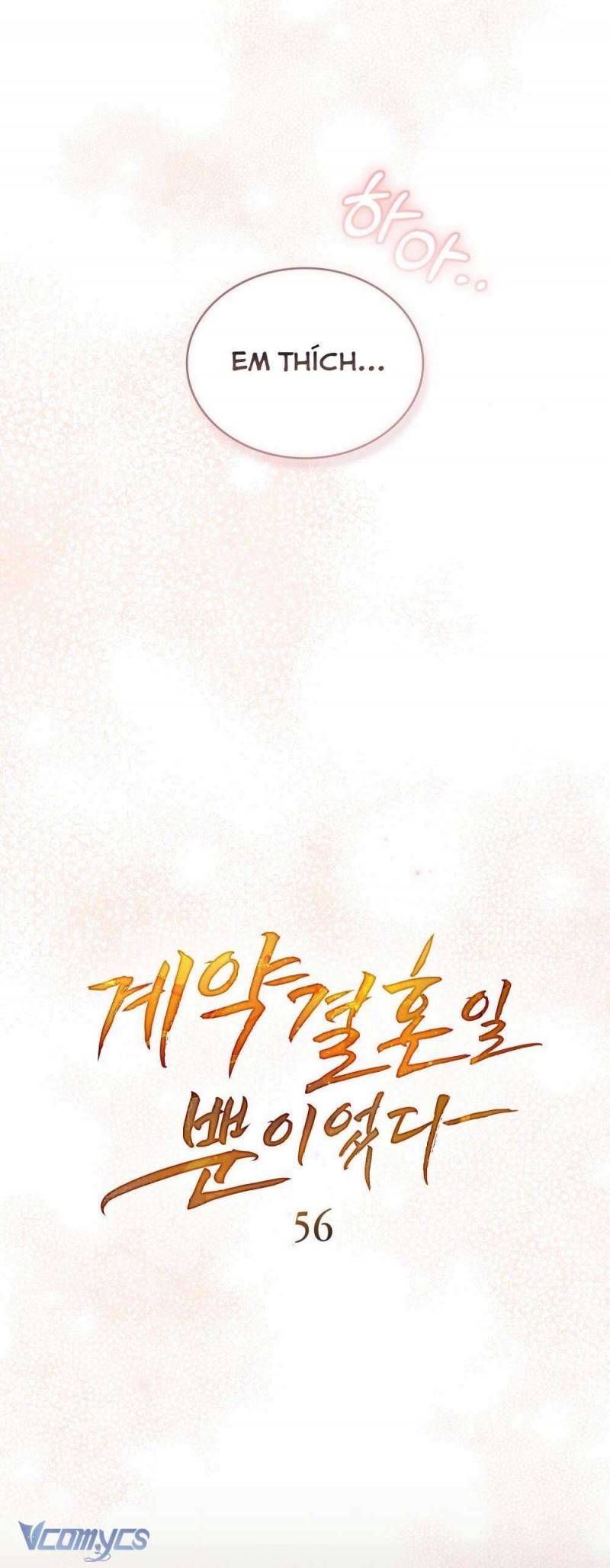 Hôn Nhân Khế Ước Chapter 56 - Trang 2