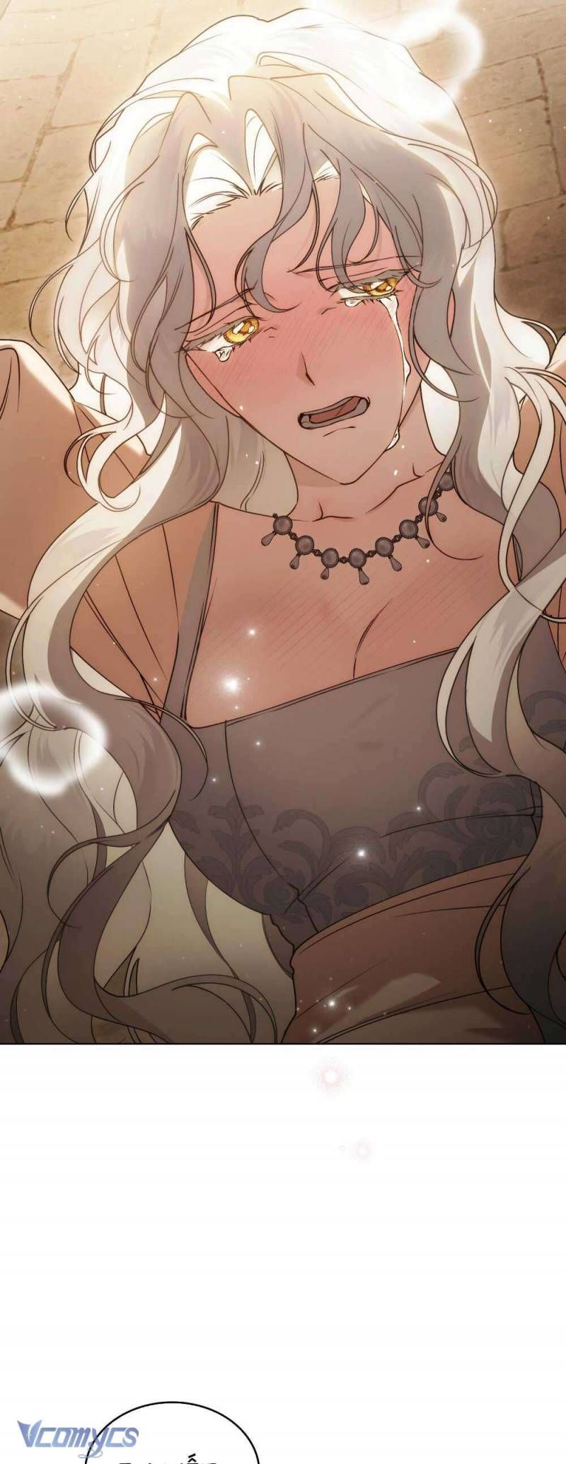 Hôn Nhân Khế Ước Chapter 56 - Trang 2