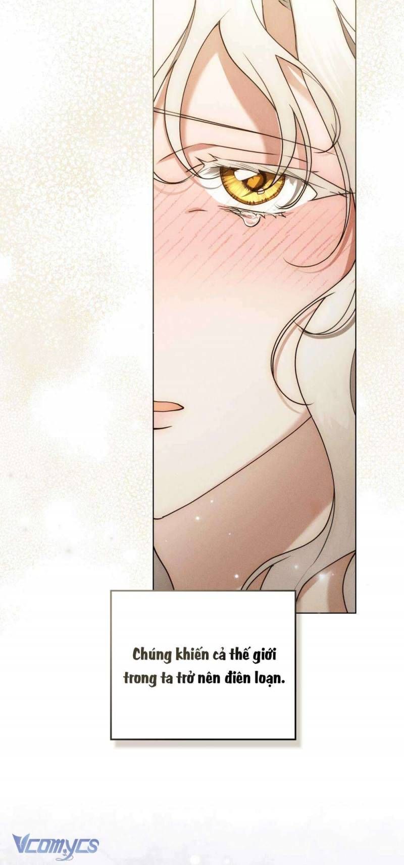 Hôn Nhân Khế Ước Chapter 56 - Trang 2