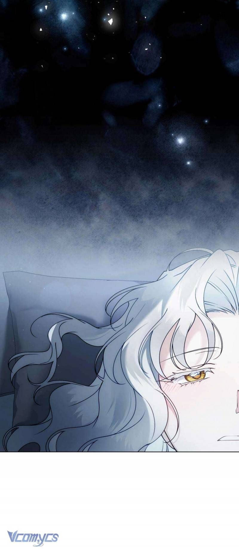 Hôn Nhân Khế Ước Chapter 56 - Trang 2