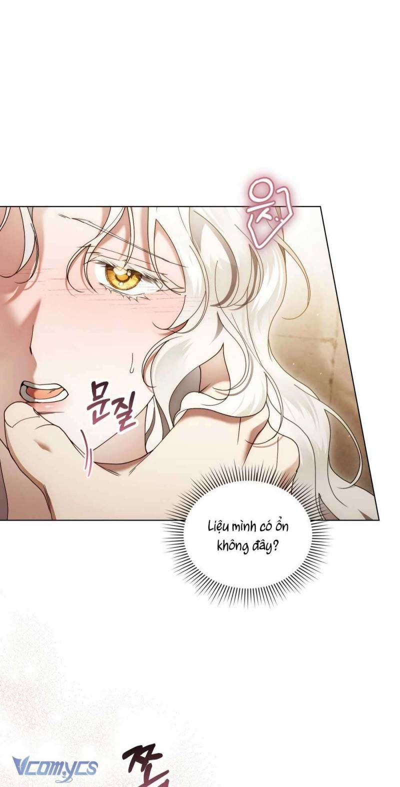 Hôn Nhân Khế Ước Chapter 56 - Trang 2