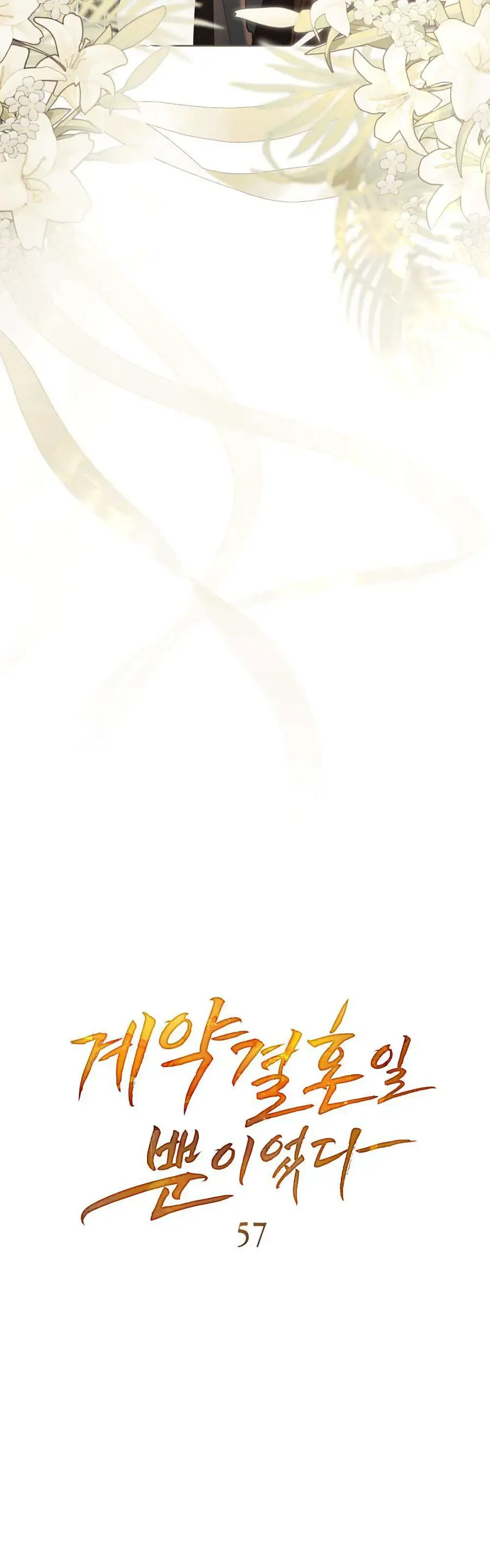 Hôn Nhân Khế Ước Chapter 57 - Trang 2