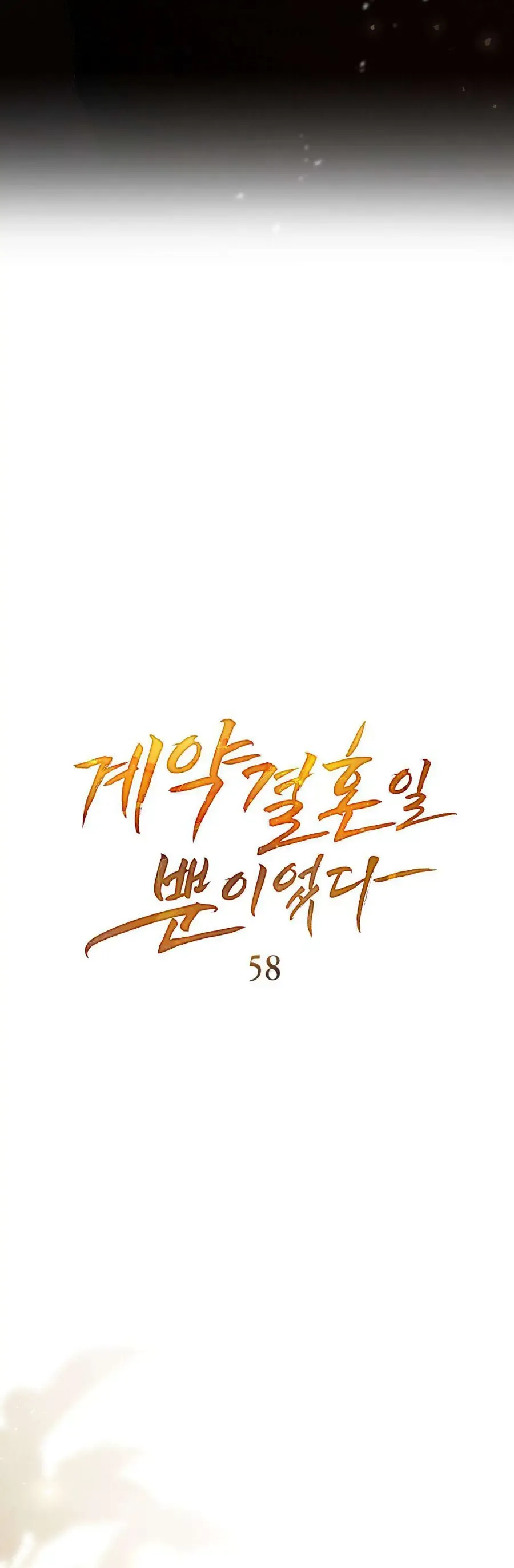 Hôn Nhân Khế Ước Chapter 58 - Trang 2