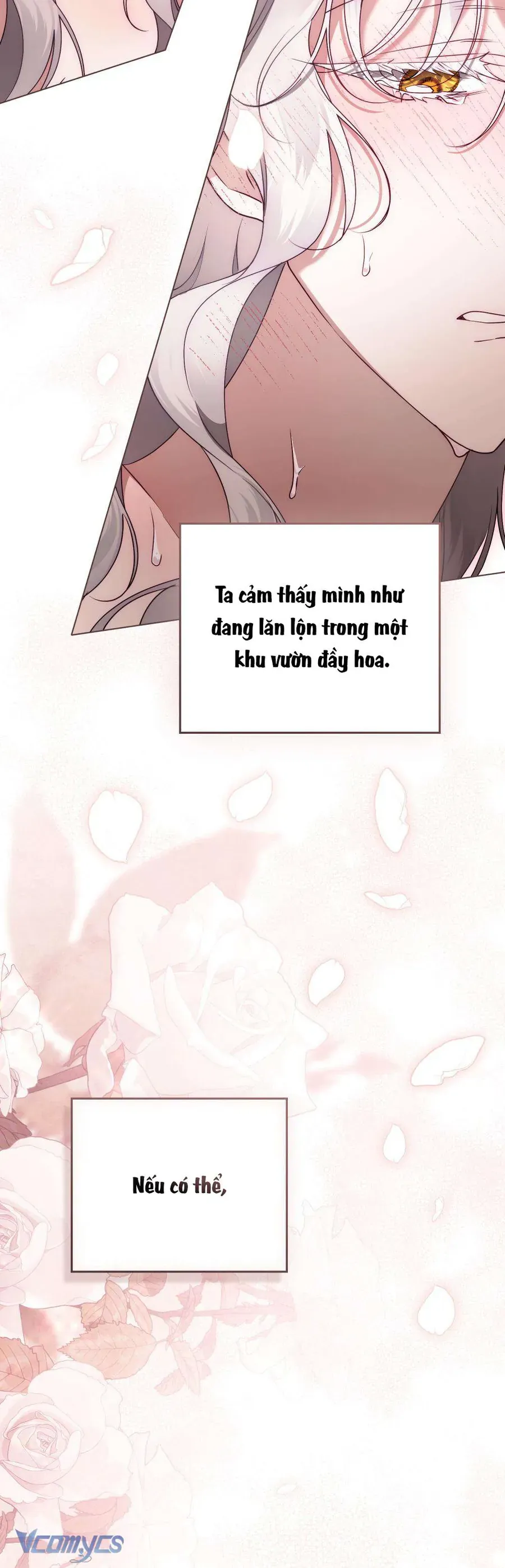 Hôn Nhân Khế Ước Chapter 61 - Trang 2