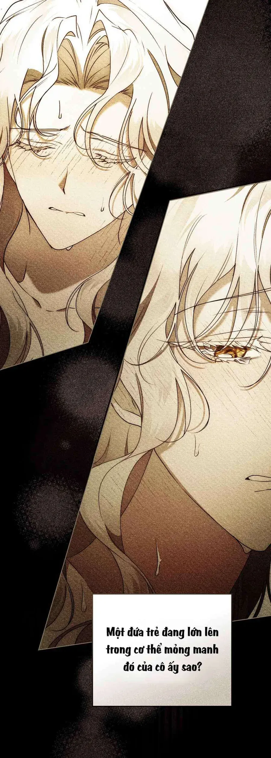 Hôn Nhân Khế Ước Chapter 62 - Trang 2