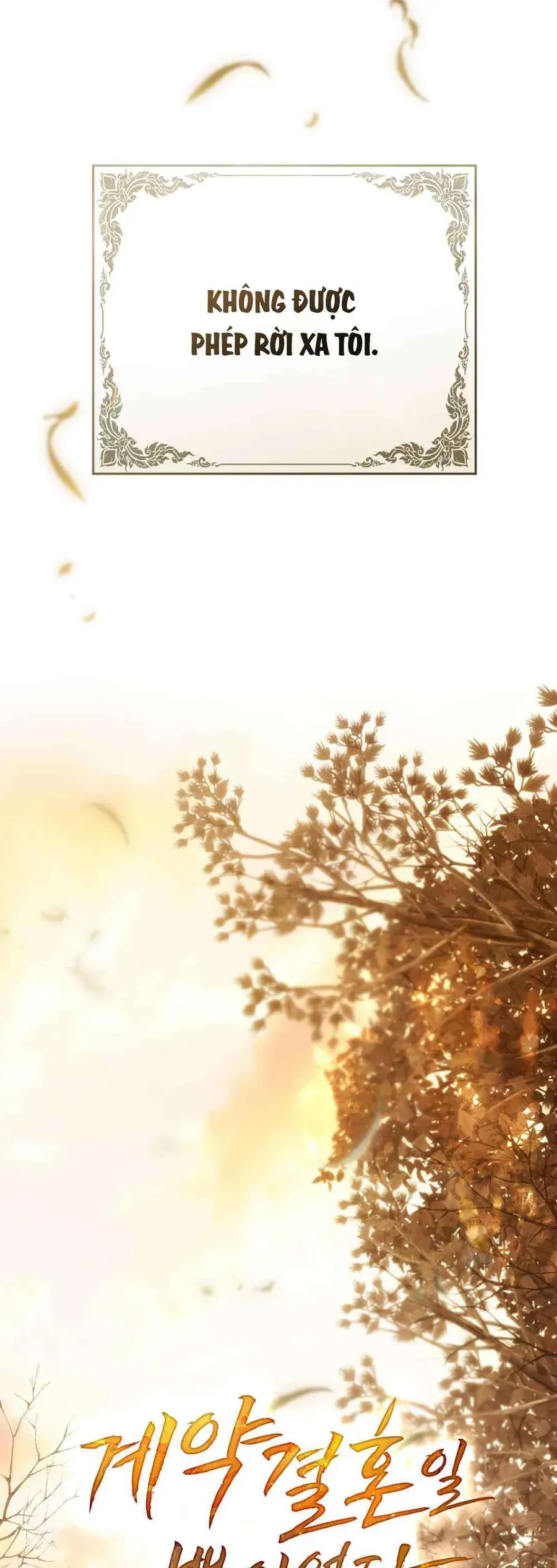 Hôn Nhân Khế Ước Chapter 62 - Trang 2