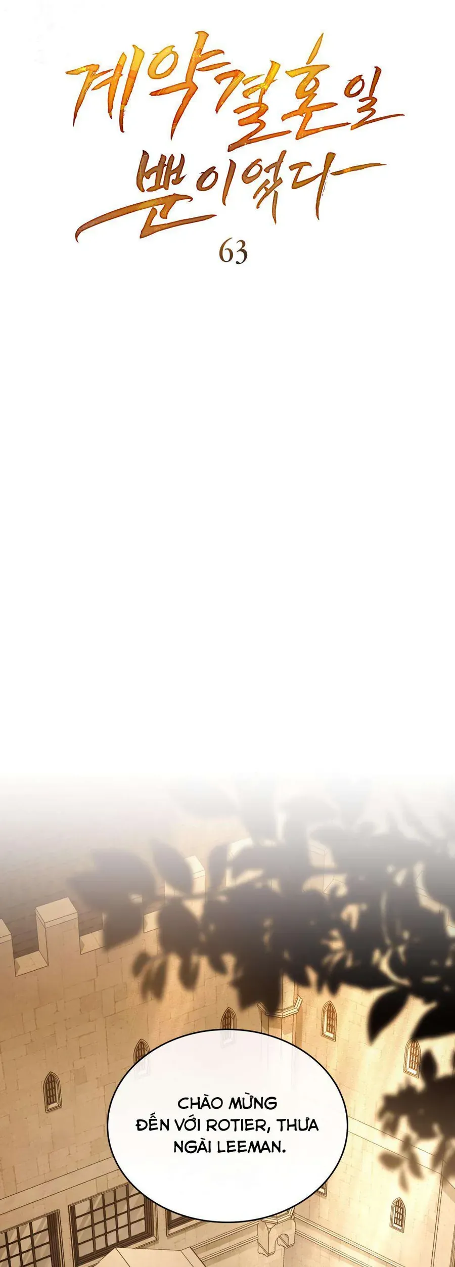 Hôn Nhân Khế Ước Chapter 63 - Trang 2